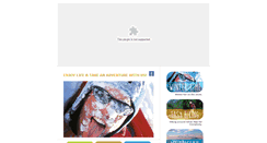 Desktop Screenshot of lifetrek-slovenia.com